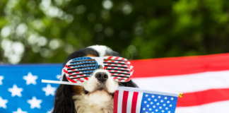 Fêter le 4 juillet comme aux États-Unis