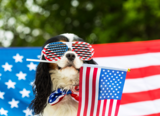 Fêter le 4 juillet comme aux États-Unis