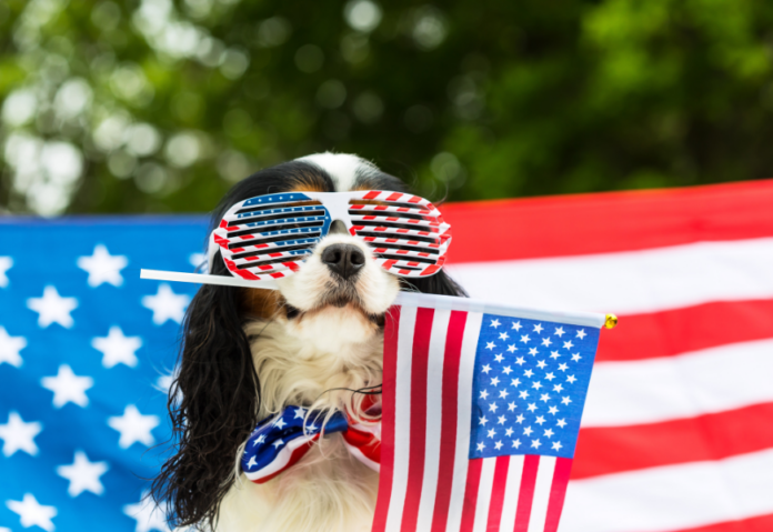 Fêter le 4 juillet comme aux États-Unis